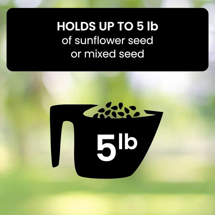 Squirrel-Resistant Bird Feeder for Backyard Birdwatching