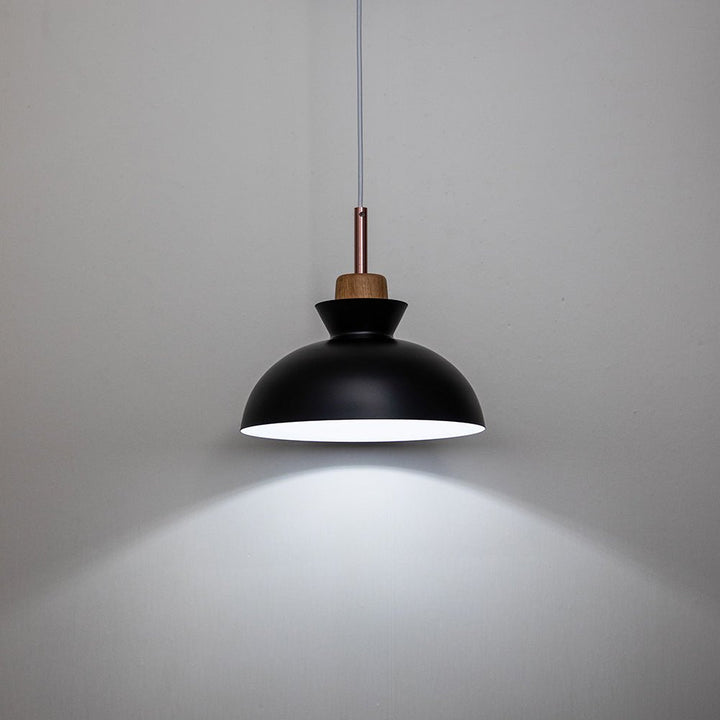 Scandinavian Metal Hanging Lamp | Modern Single Pendant Dome Light