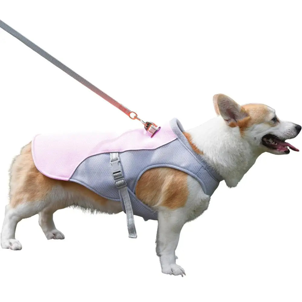 Dog Cooling Vest for Summer Outdoor Adventures