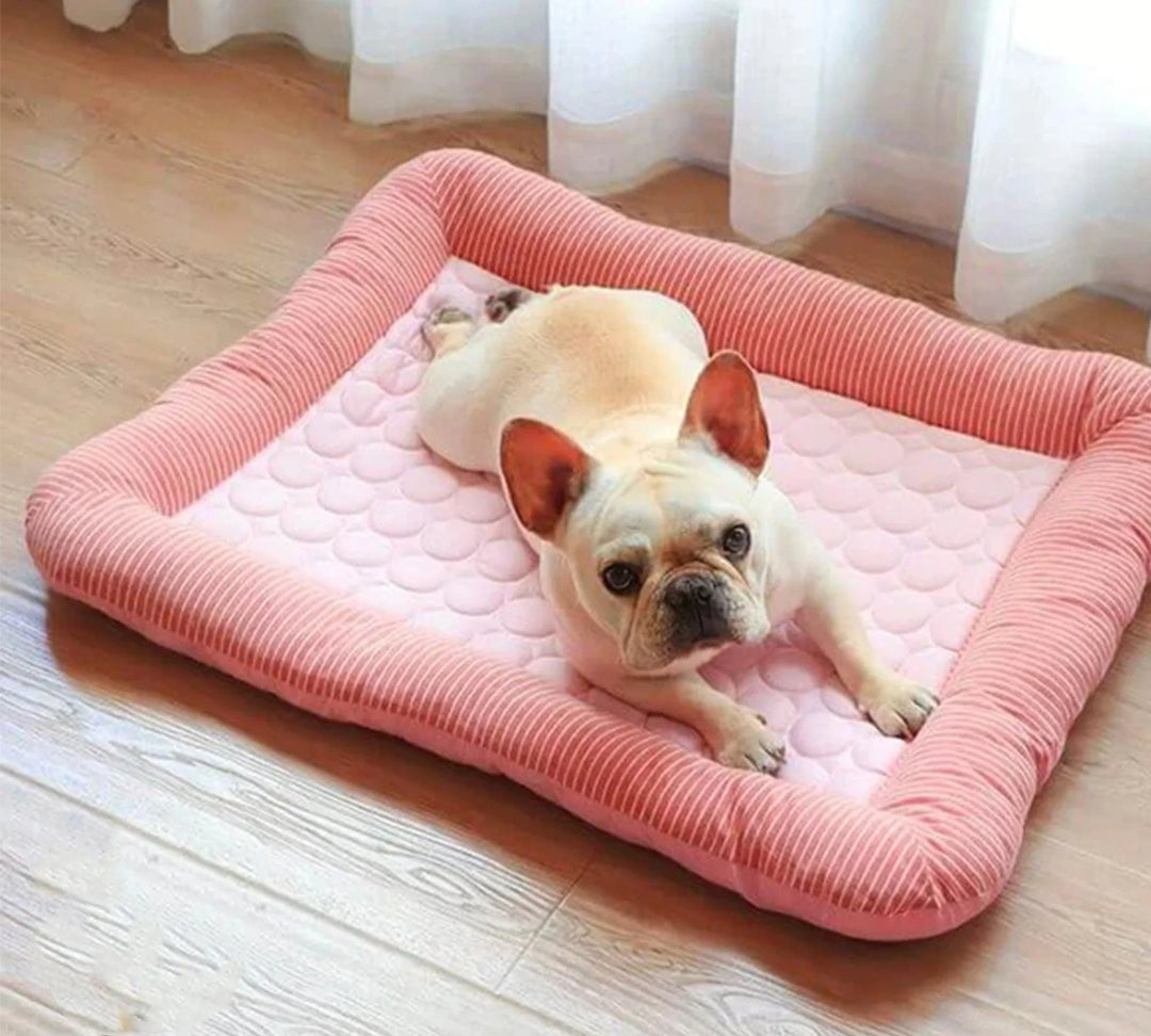 Cooling Dog Bed Made with Ice Silk Fabric for Comfort