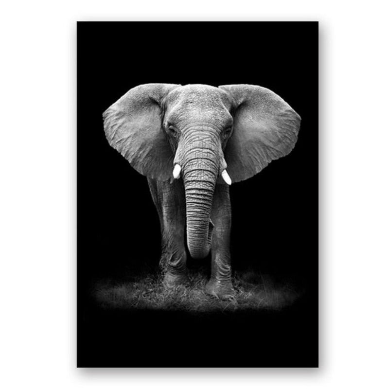 Nature Wild Animals Africa Wildlife Black White Canvas Wall Art-Orizon Depot