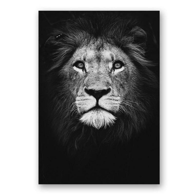 Nature Wild Animals Africa Wildlife Black White Canvas Wall Art-Orizon Depot