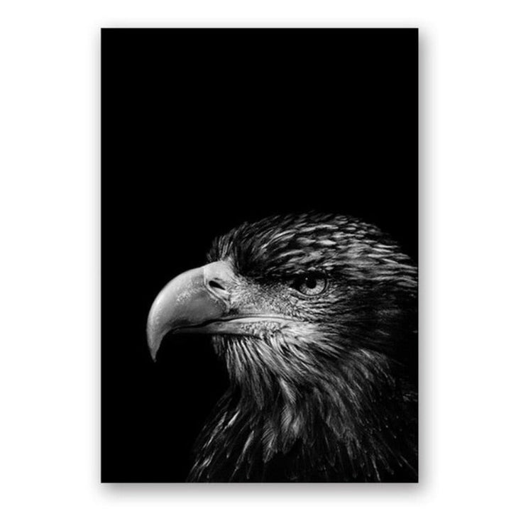 Nature Wild Animals Africa Wildlife Black White Canvas Wall Art-Orizon Depot