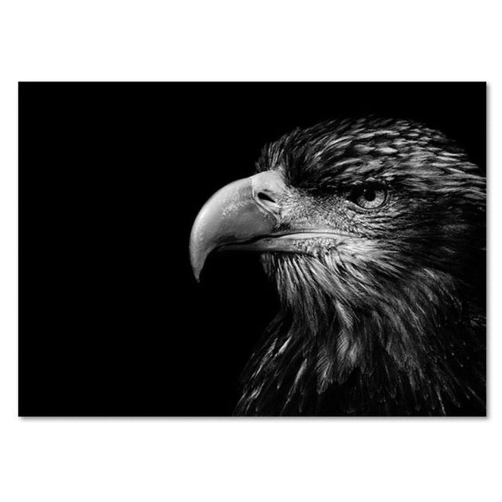 Nature Wild Animals Africa Wildlife Black White Canvas Wall Art-Orizon Depot