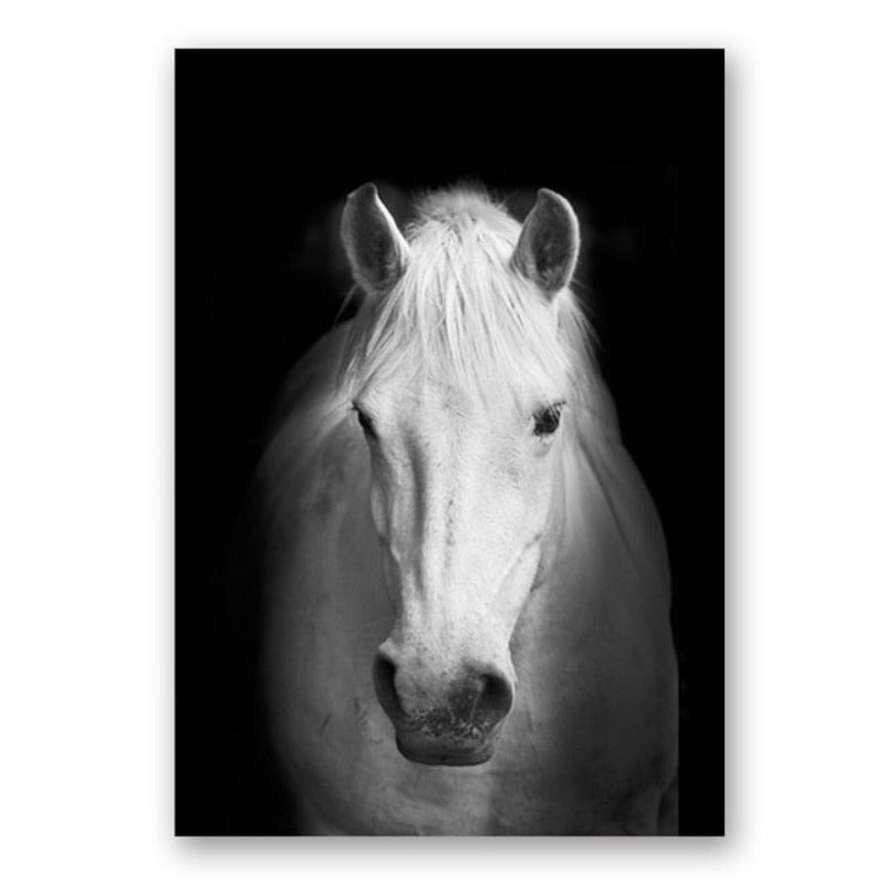 Nature Wild Animals Africa Wildlife Black White Canvas Wall Art-Orizon Depot