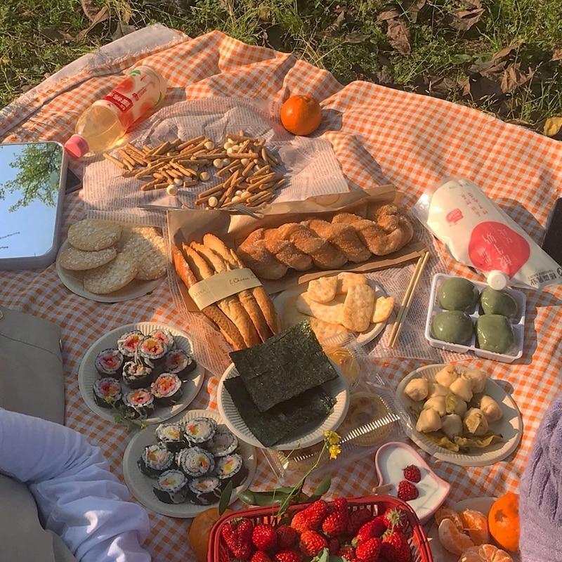 Clementine Gingham Outdoor Picnic Blanket-Orizon Depot
