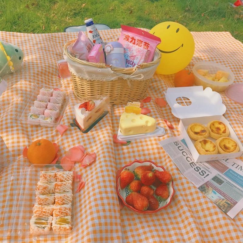 Clementine Gingham Outdoor Picnic Blanket-Orizon Depot