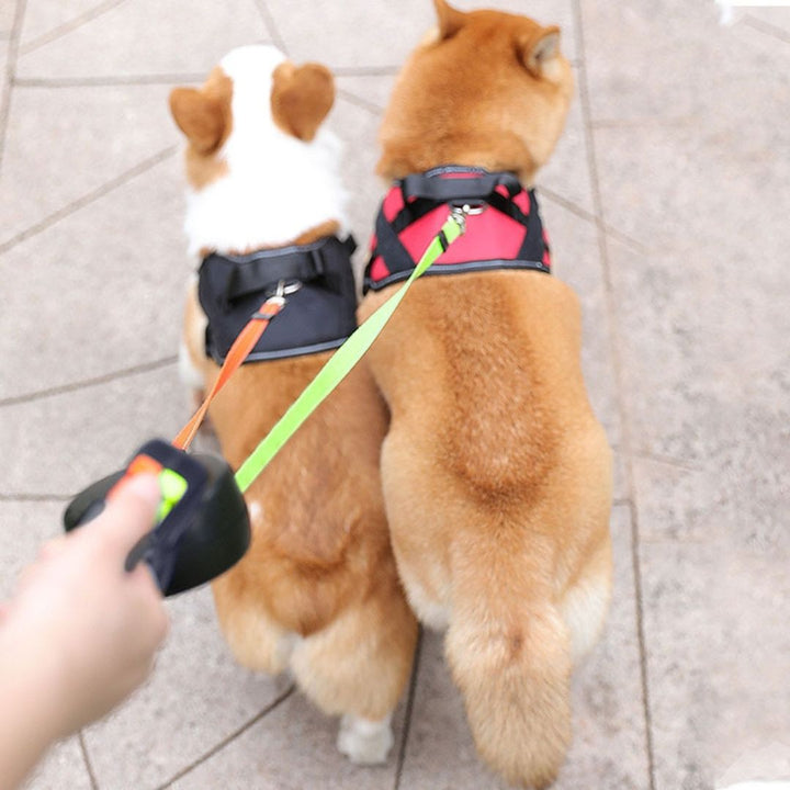 Tangle-Free Double Dog Leash for Easy Walking