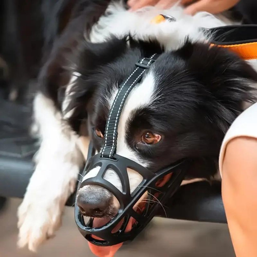 Safe Dog Muzzle for Training and Safety - Adjustable Fit-Orizon Depot