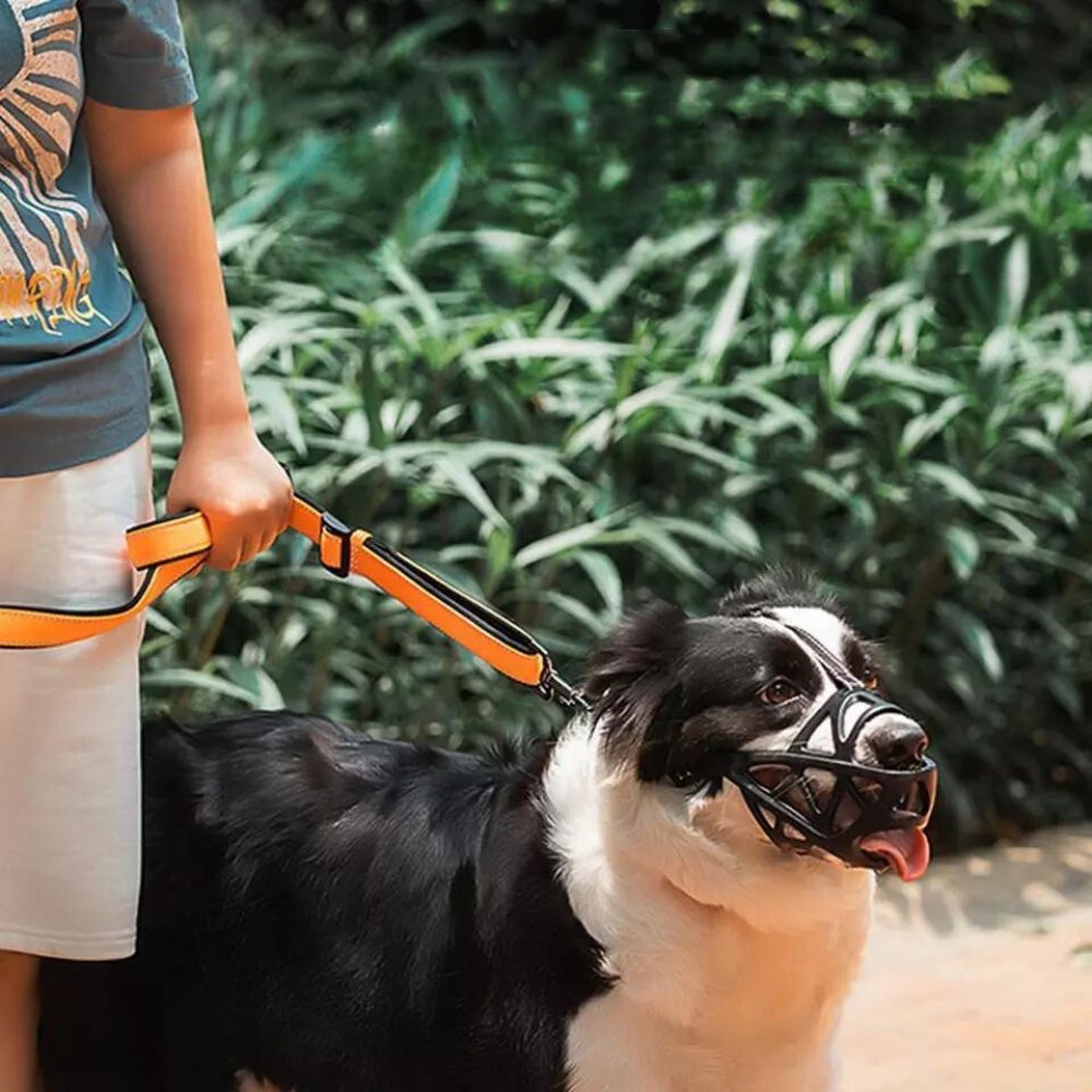 Safe Dog Muzzle for Training and Safety - Adjustable Fit-Orizon Depot