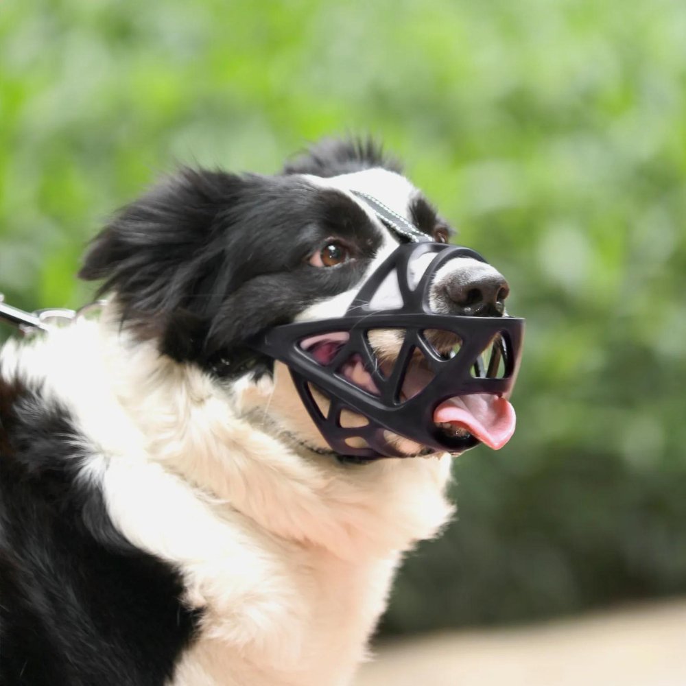Safe Dog Muzzle for Training and Safety - Adjustable Fit-Orizon Depot