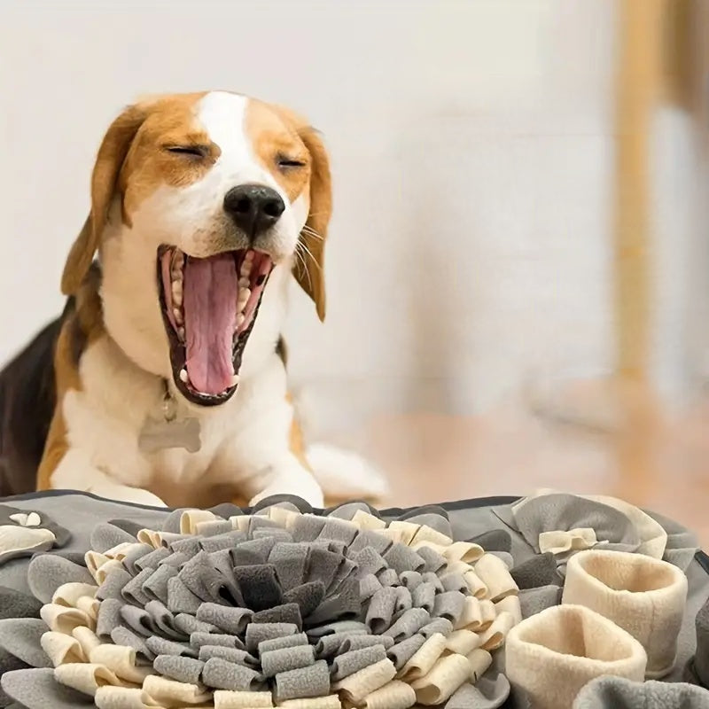 Sniffing Adventure Mat for Engaging Mealtime Fun-Orizon Depot