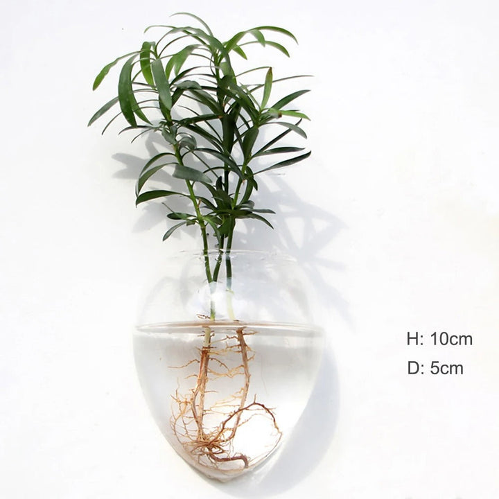 Glass Wall Vase for Home Decor - Elegant and Stylish Design-Orizon Depot
