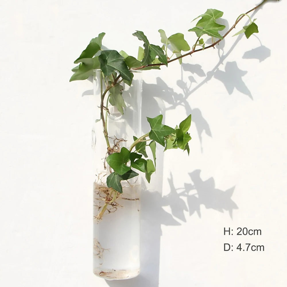 Glass Wall Vase for Home Decor - Elegant and Stylish Design-Orizon Depot