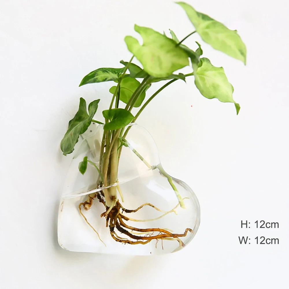 Glass Wall Vase for Home Decor - Elegant and Stylish Design-Orizon Depot