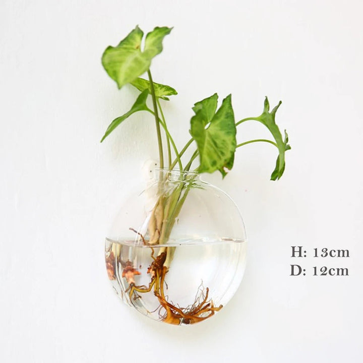 Glass Wall Vase for Home Decor - Elegant and Stylish Design-Orizon Depot