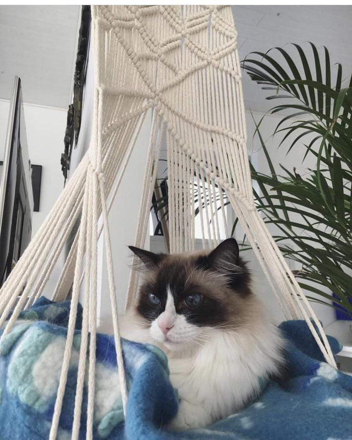 Macrame Wall Hanging Cat Bed for Stylish Pet Relaxation-Orizon Depot